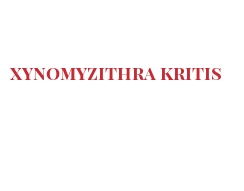 Fromages du monde - Xynomyzithra Kritis